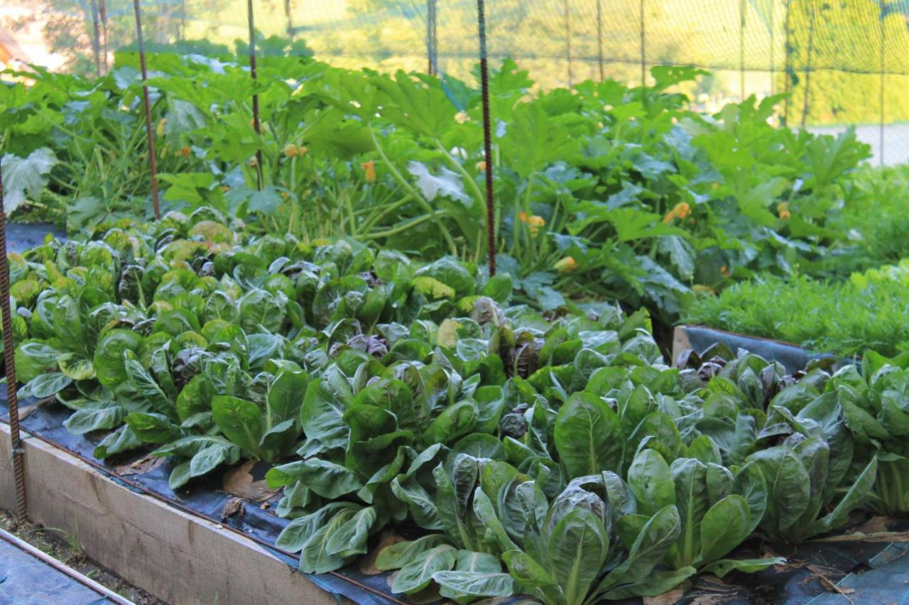 Hotel Ciardi Wellness & Ristorante Asiago